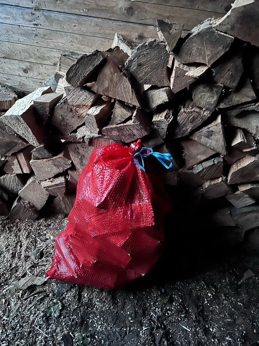 🔥Fire wood - Image 3