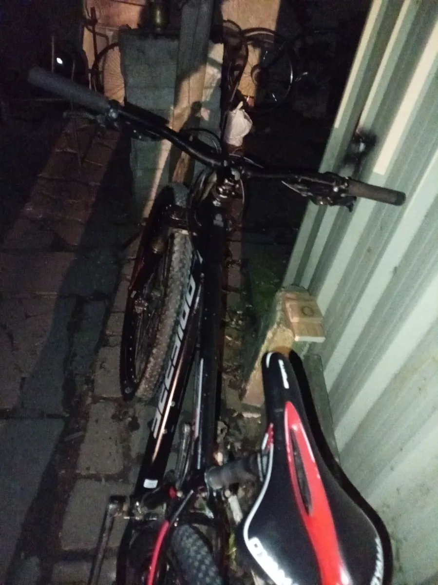 Lappiere mtb - Image 4