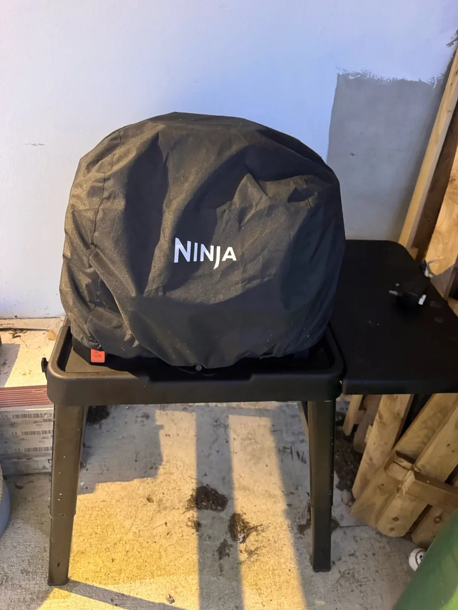 Ninja woodfire grill - Image 2