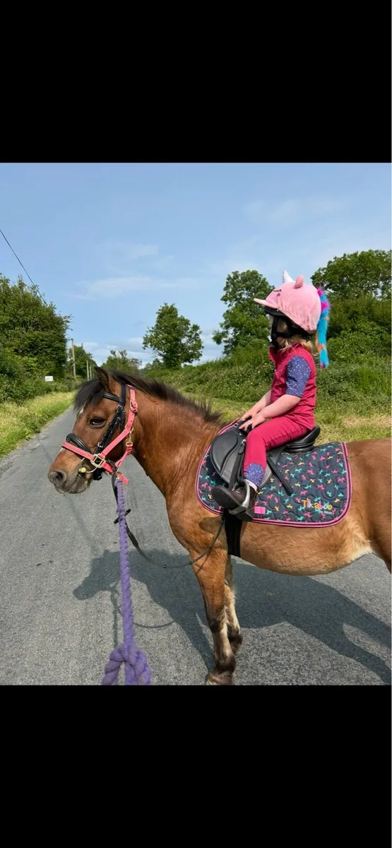 13” Pony Saddle - Image 4