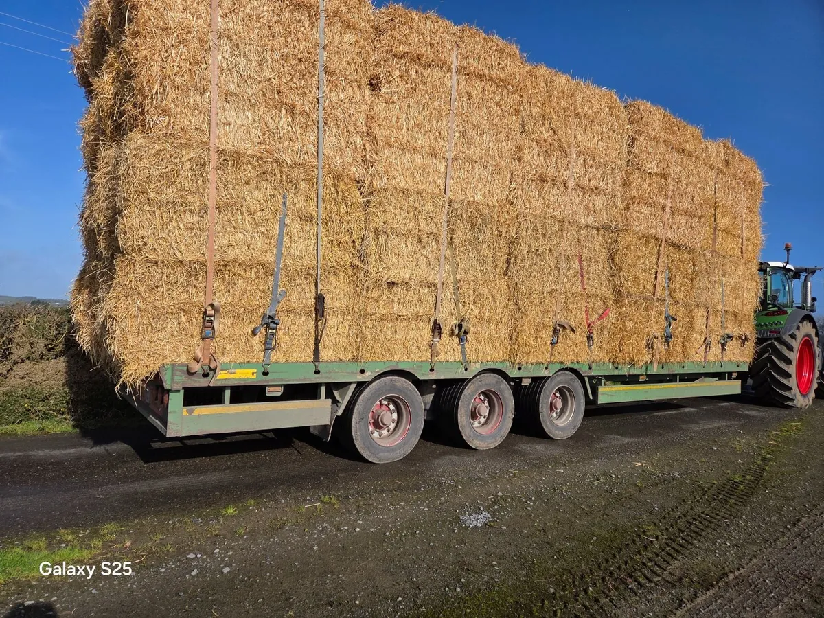 Hay and Straw - Image 1