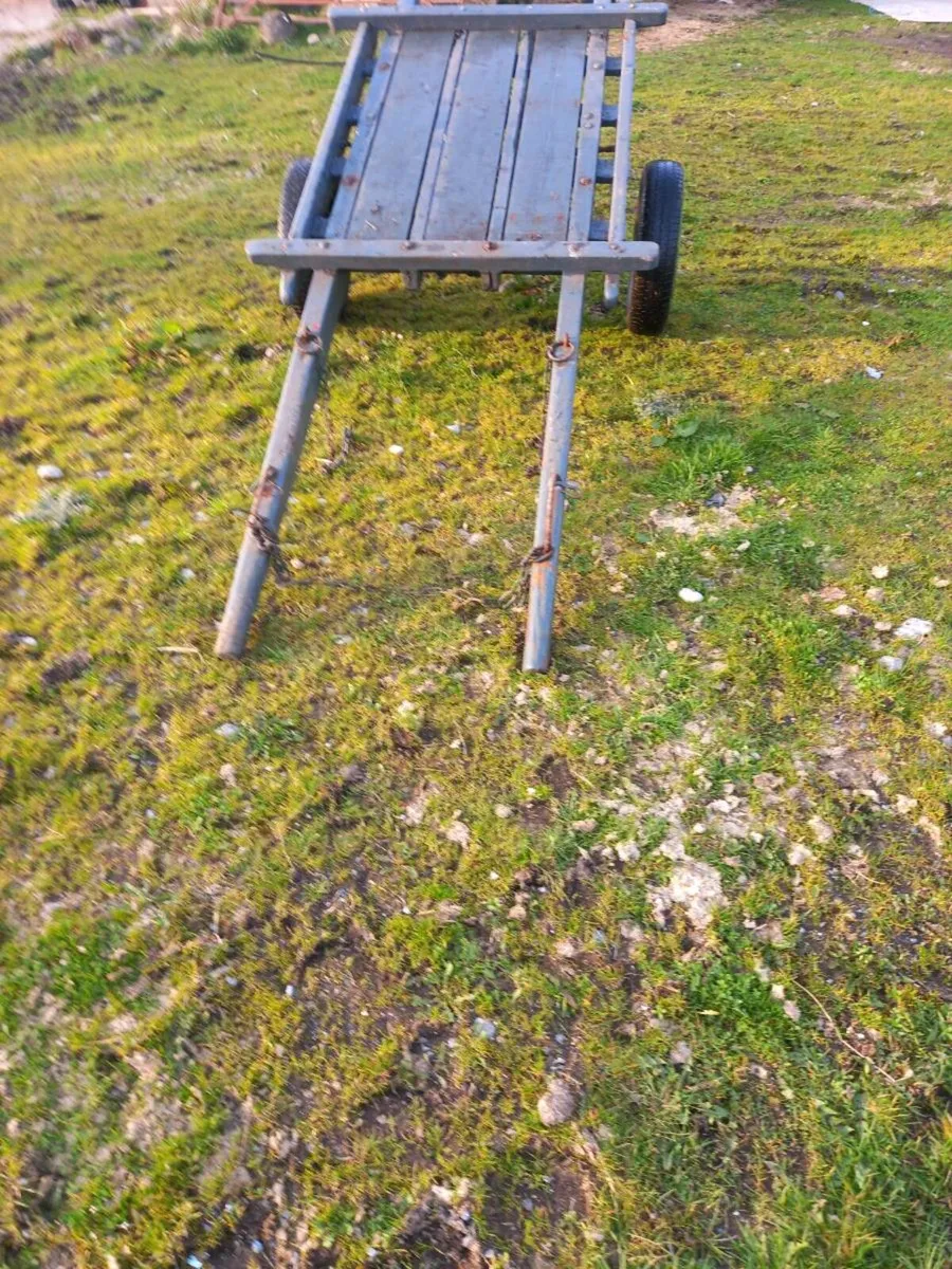 Donkey Cart - Image 4