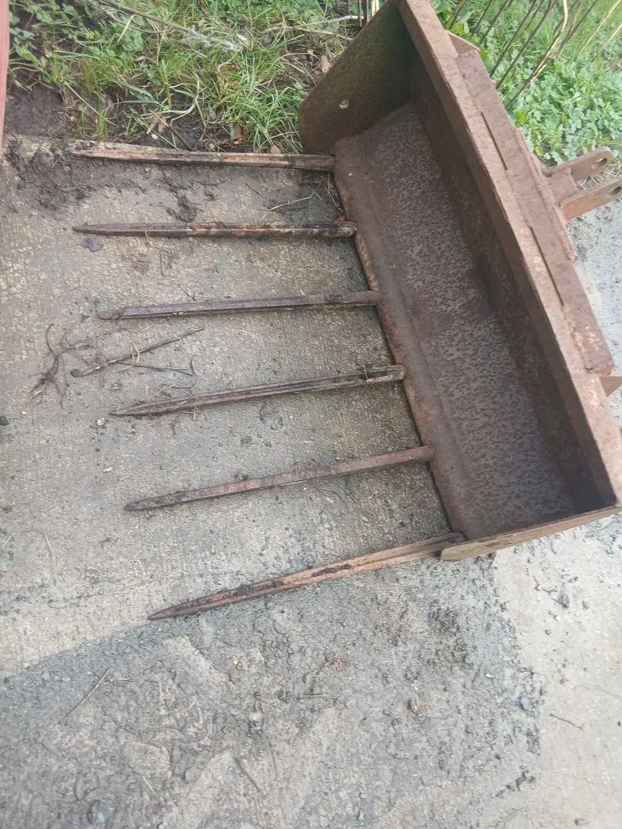 David Brown front loader - Image 3