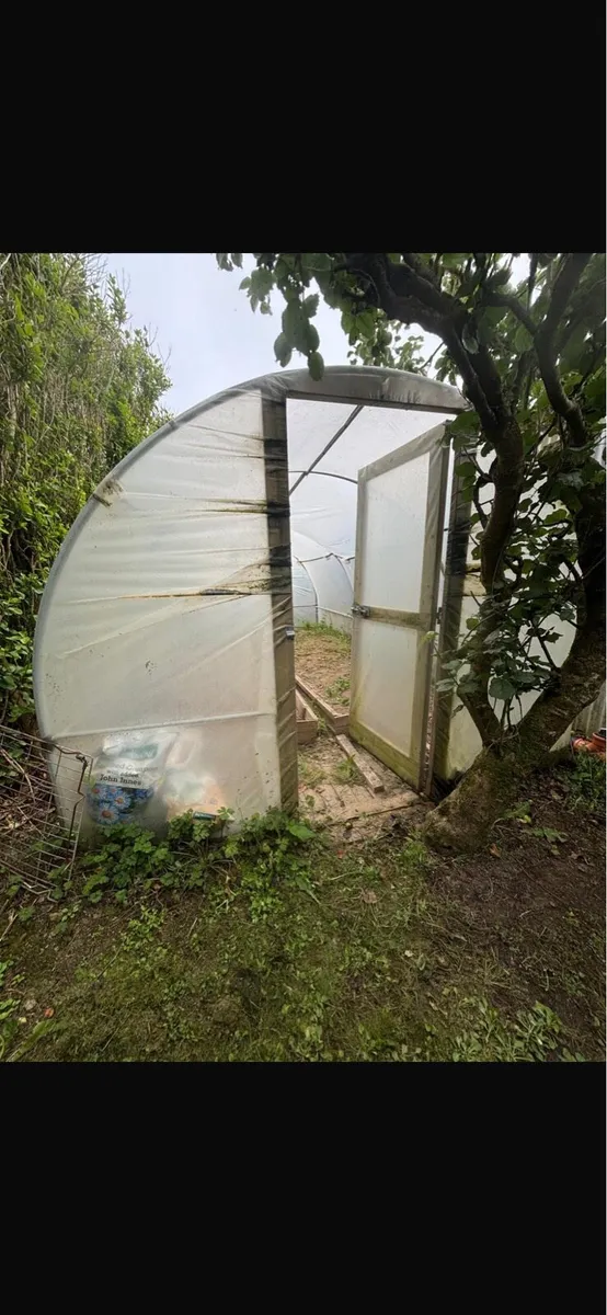 Polytunnel - Image 1