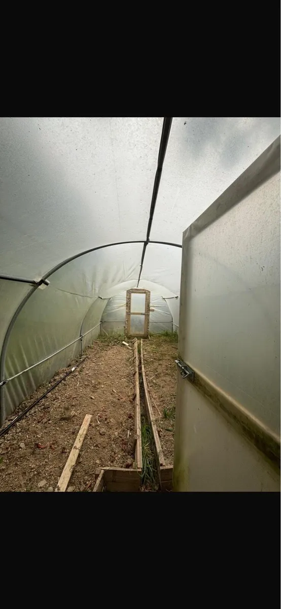 Polytunnel - Image 3