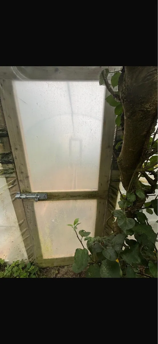 Polytunnel - Image 4