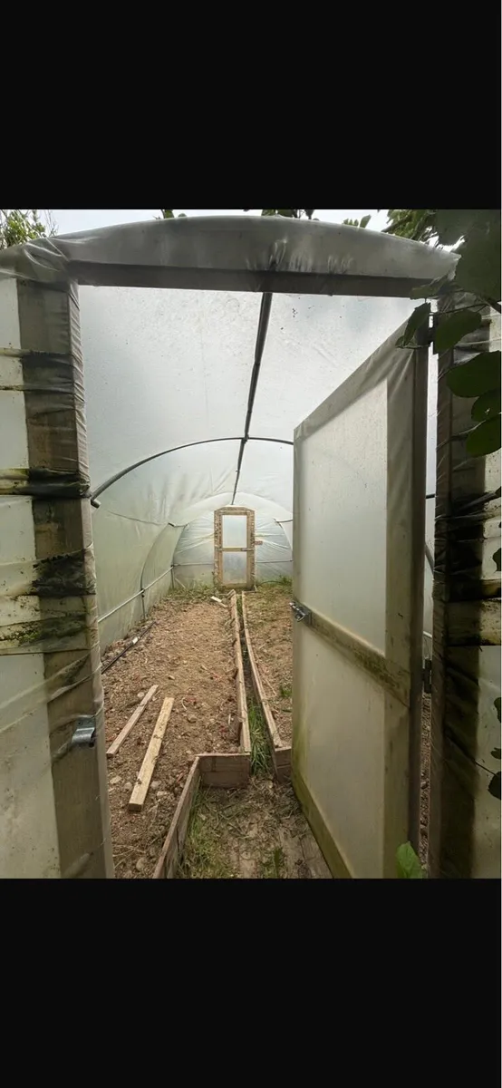 Polytunnel - Image 2