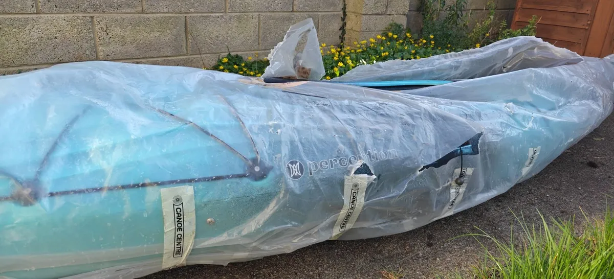 Kayak - Perception Expression 11 - Image 1