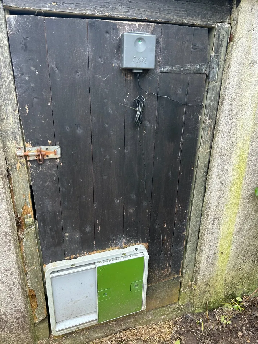 Omlet chicken shed automatic door - Image 4