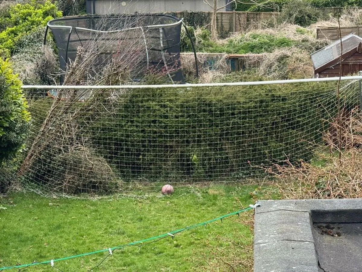 goal: Full size Forza Goal - Image 3