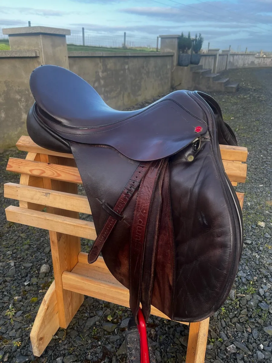 Horse Riding saddle - Image 1