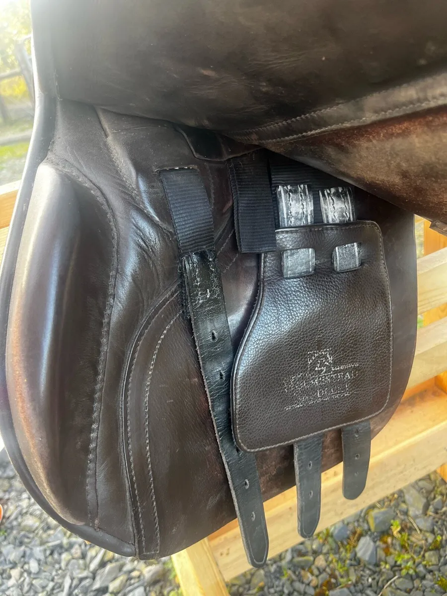 Horse Riding saddle - Image 4