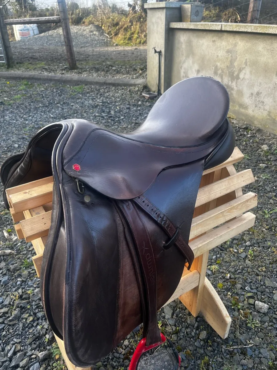 Horse Riding saddle - Image 3