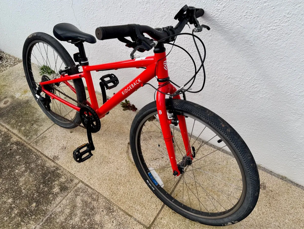 Ridgeback Dimension 24 kid’s bike - Image 1