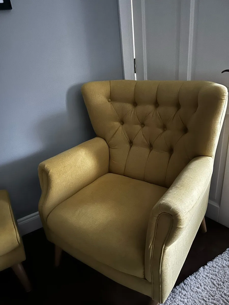Arm chair and Foot stool - Image 1
