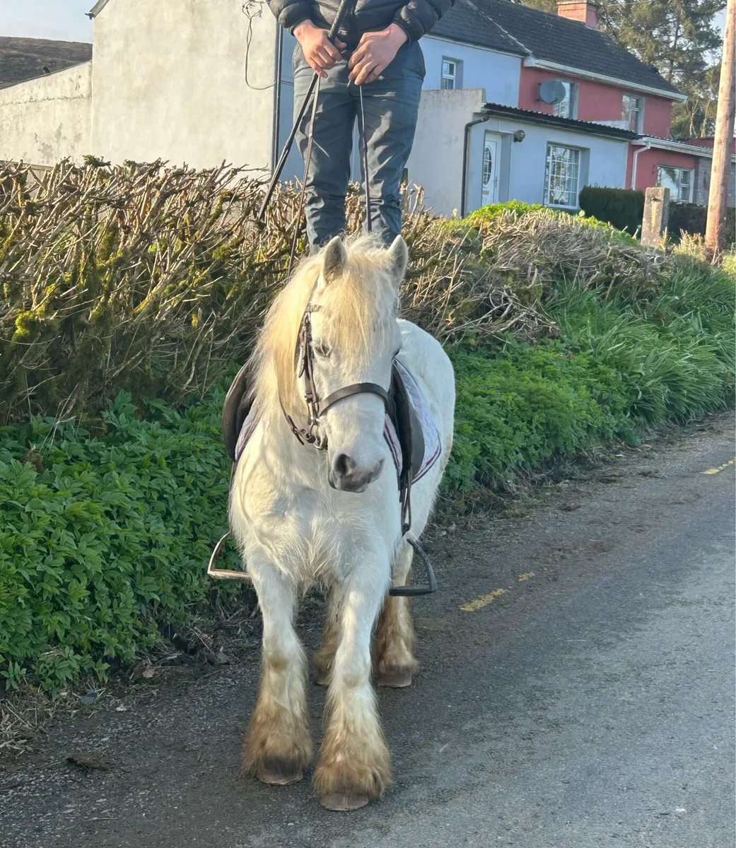 Begginers pony ⭐️ - Image 2