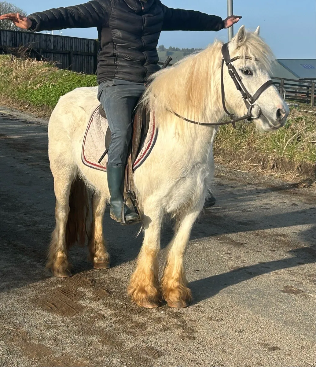 Begginers pony ⭐️ - Image 3