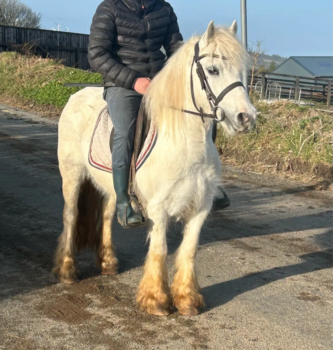 Begginers pony ⭐️ - Image 4