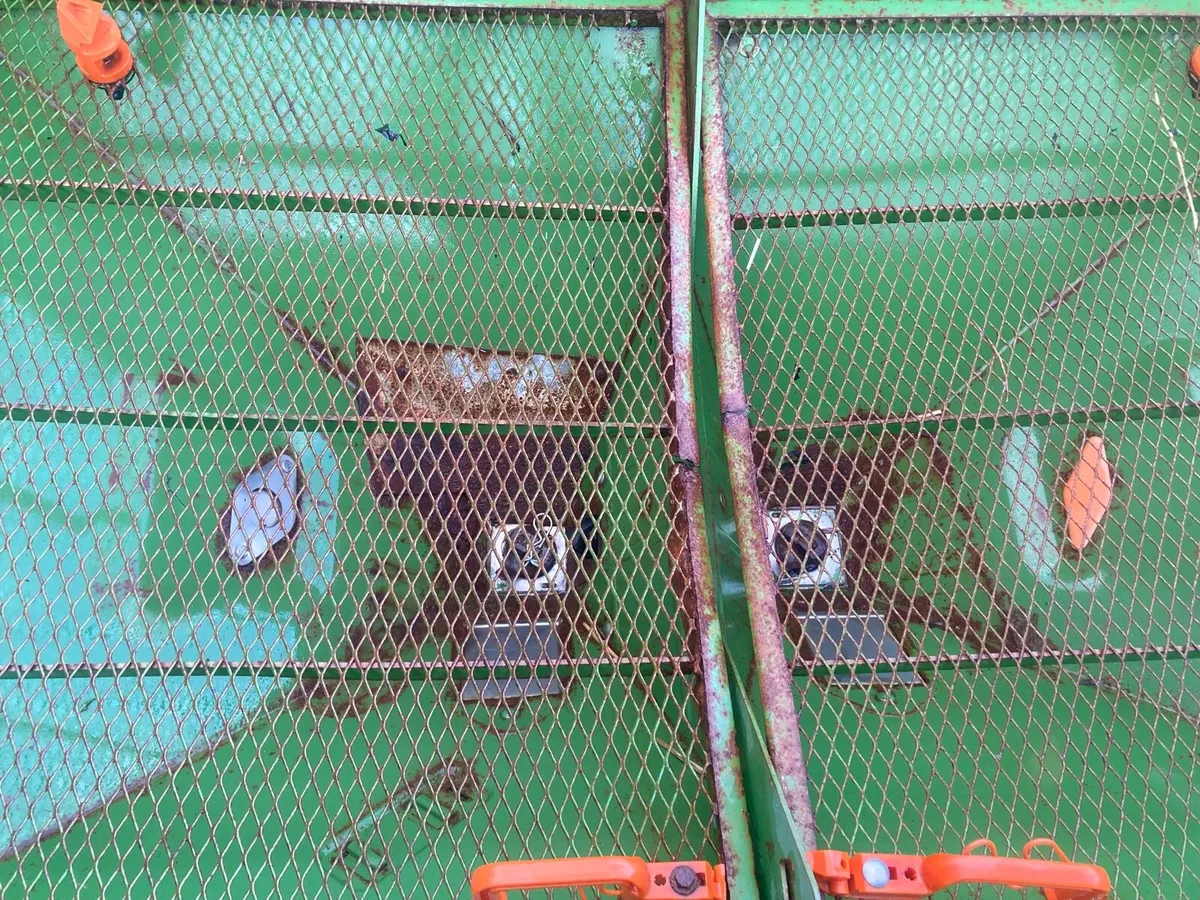 Amazon fertiliser sower - Image 3