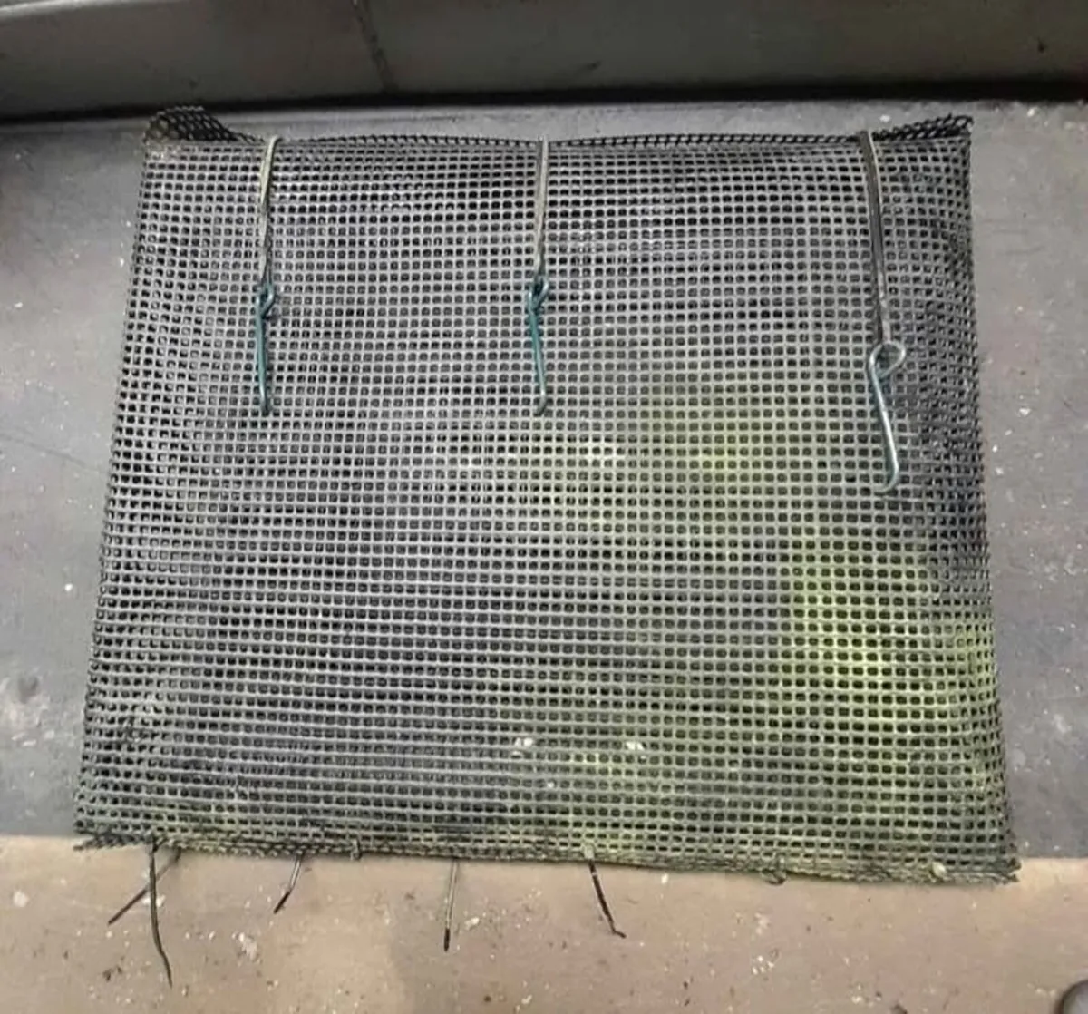 Oyster Farming - Growing Equipment - Image 2