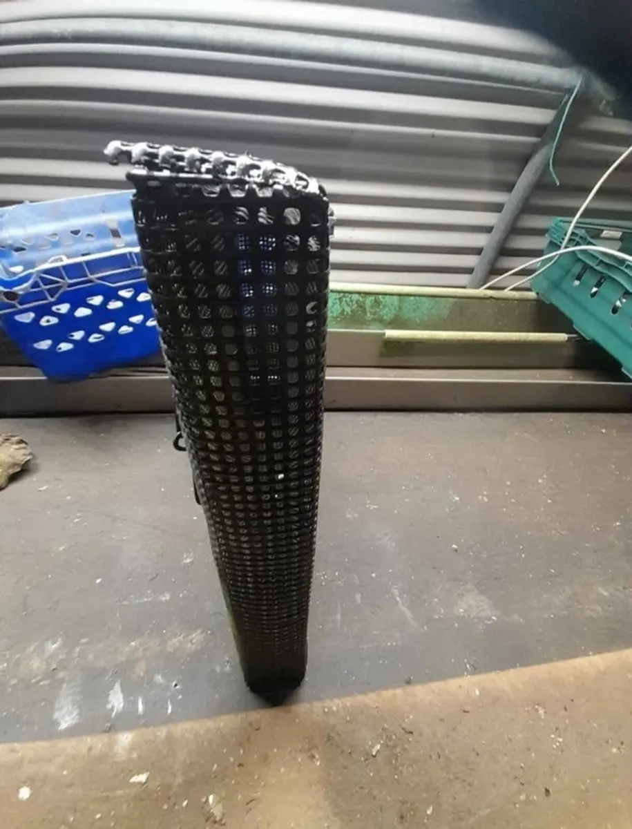 Oyster Farming - Growing Equipment - Image 1