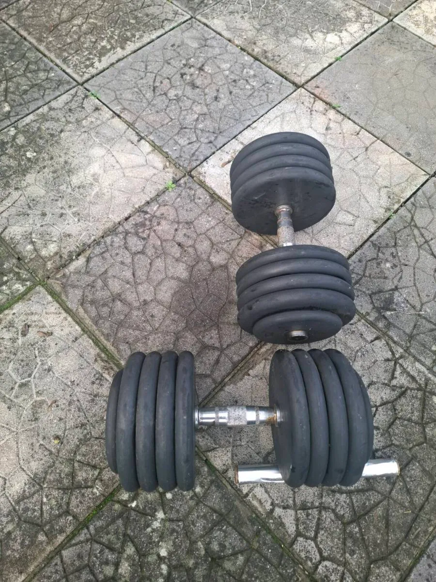 Dumbells for sale - Image 2
