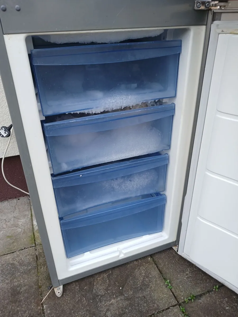 FREE -Fridge freezer - Image 2
