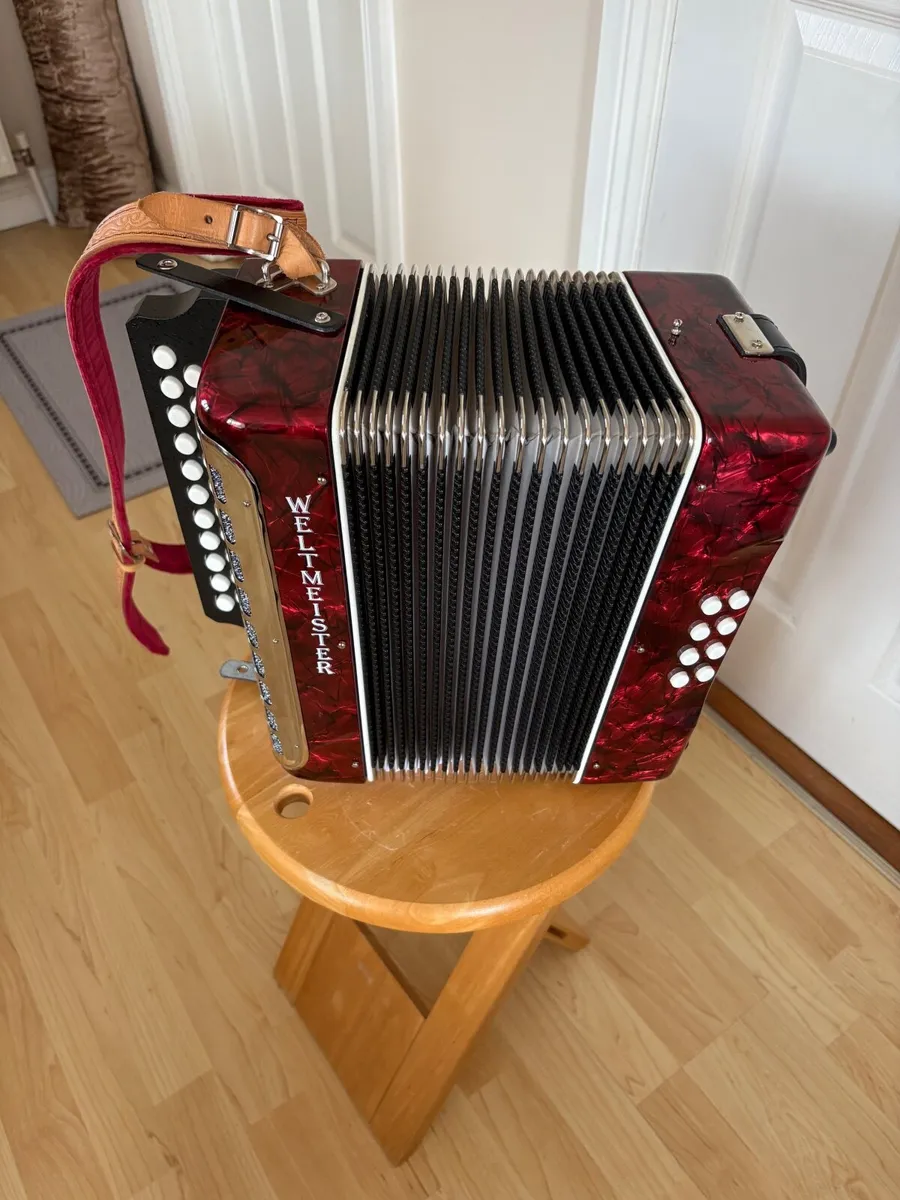 Button Accordion - Image 1