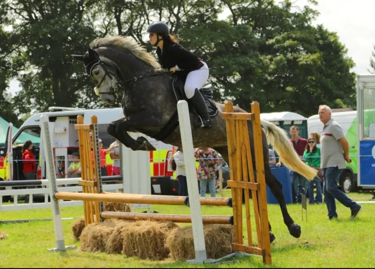 ✨Top mare 4 sale - Image 1