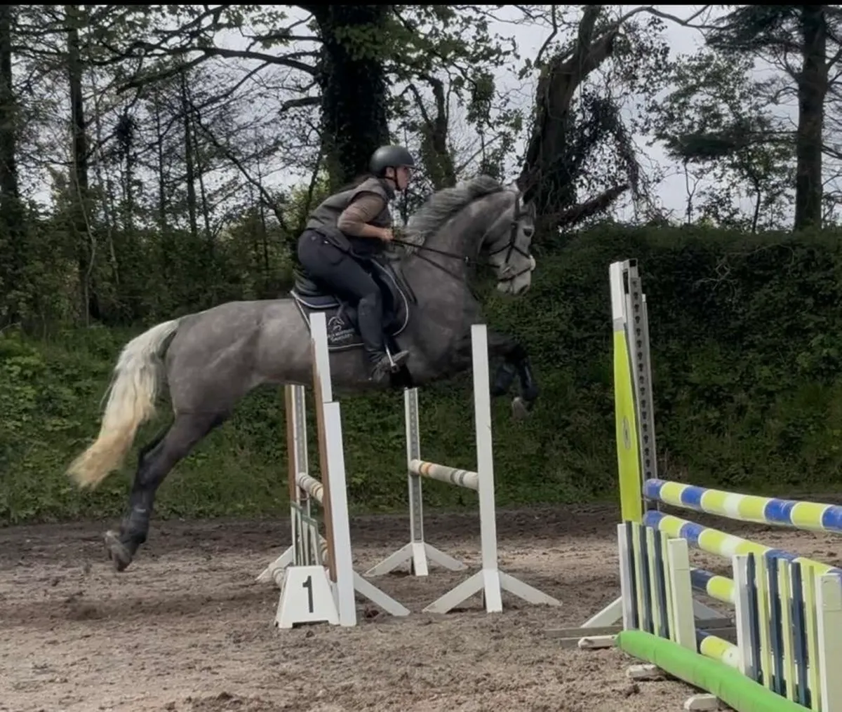 ✨Top mare 4 sale - Image 2