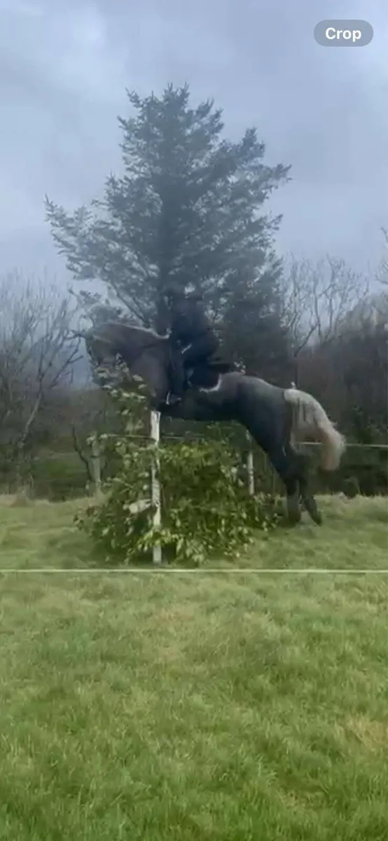 ✨Top mare 4 sale - Image 3