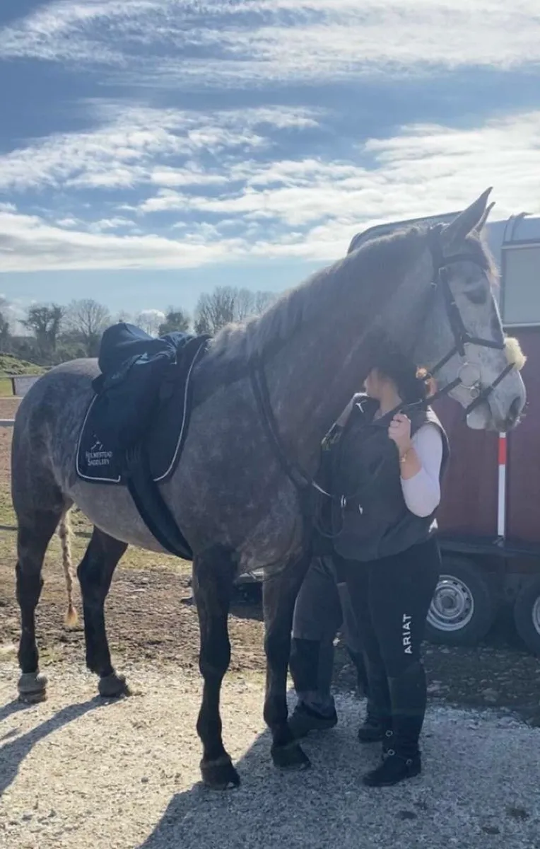 ✨Top mare 4 sale - Image 4