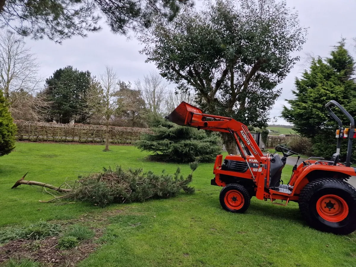 Kubota ST30 Compact Tractor with Loader - Image 2