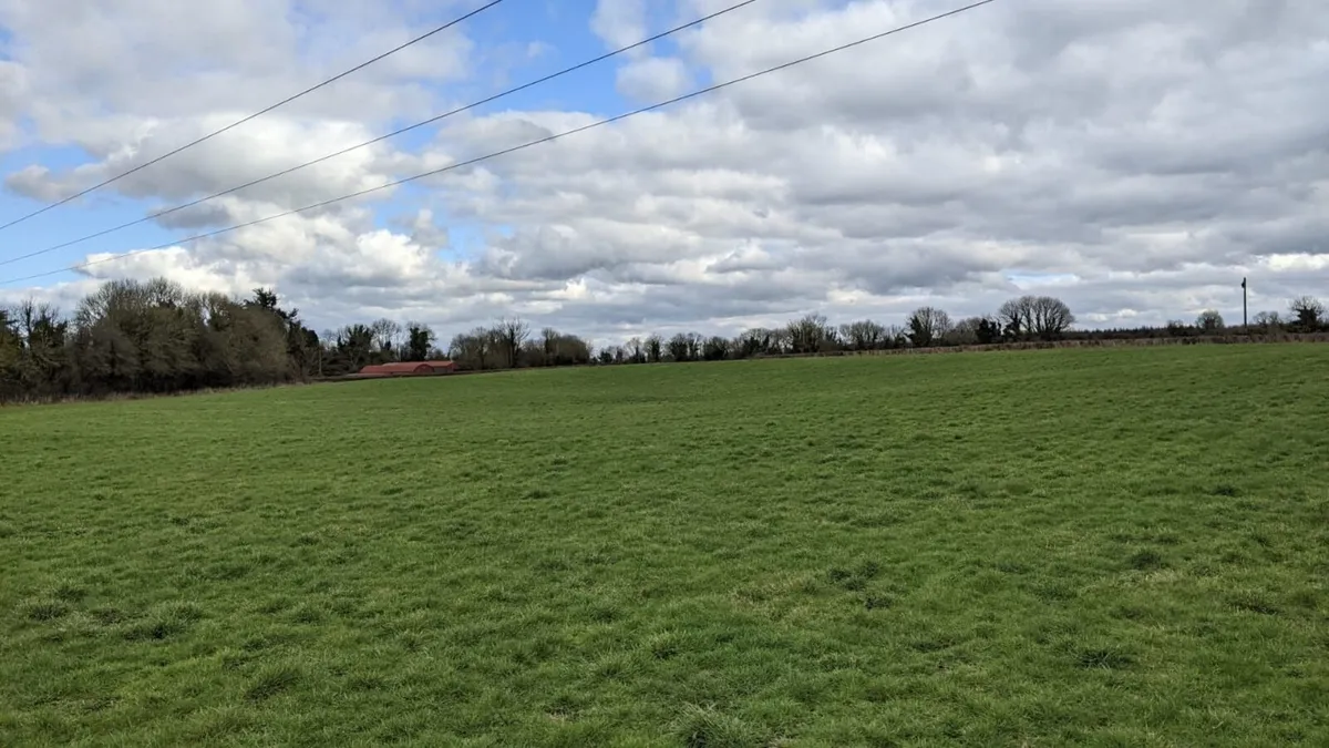 Grass for silage - Image 1