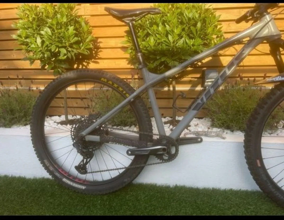 Vitus Sentier VR 29" - Image 3