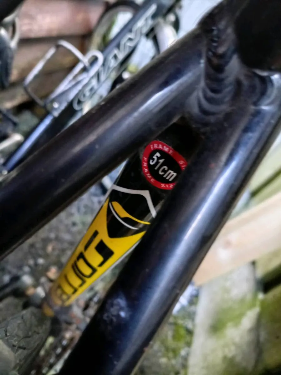 Carrera road bike - Image 2