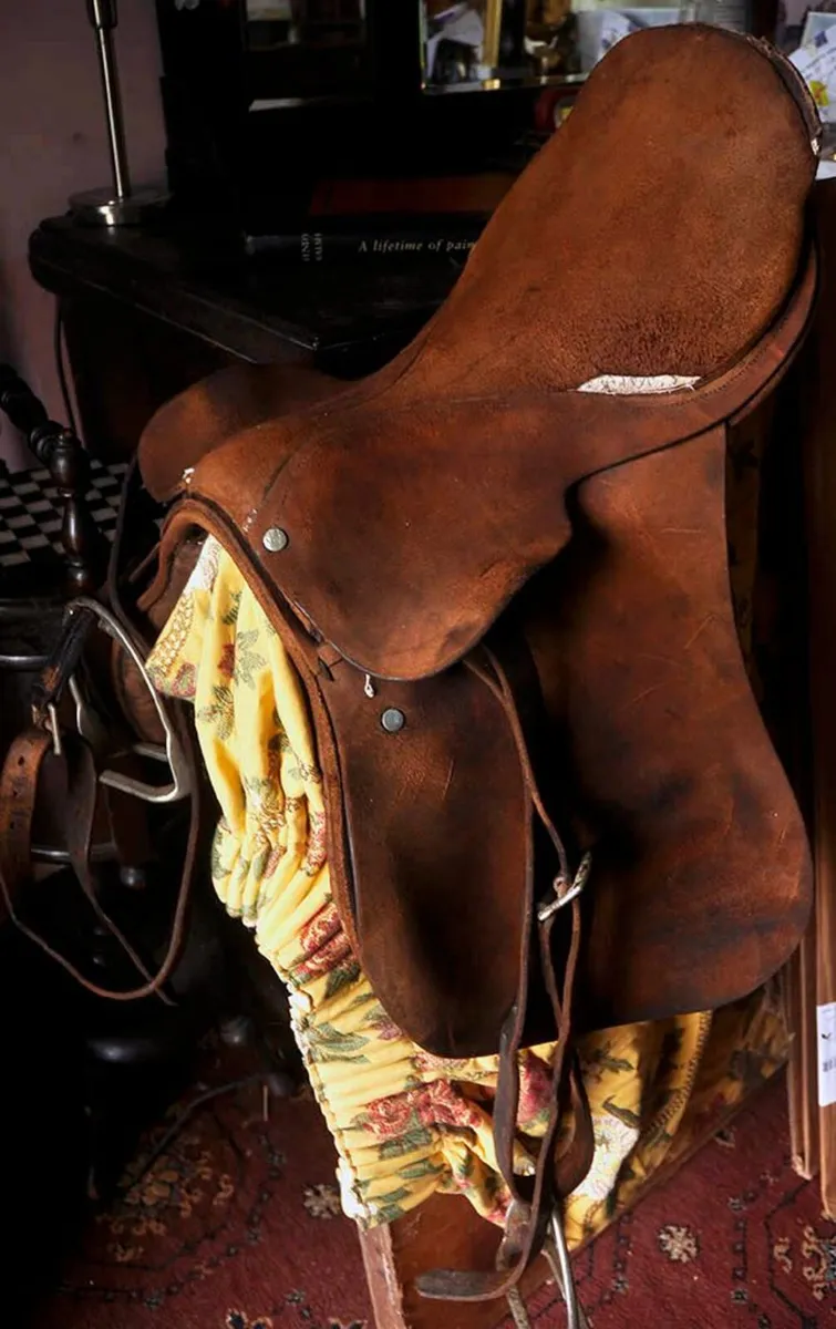 Saddle for horses - Image 1