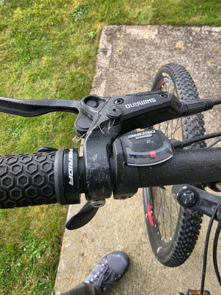 Adult bicyles - Image 3