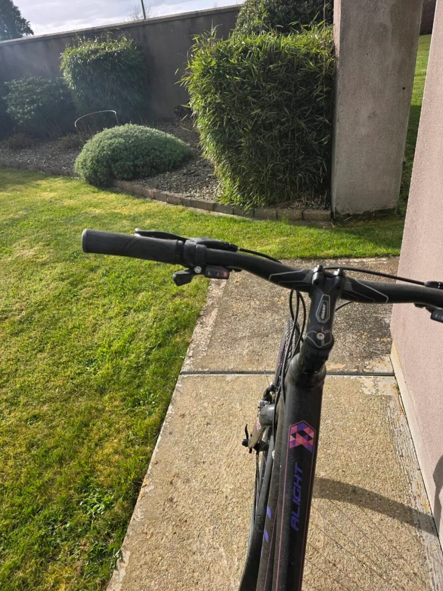 Ladies adult bicycle - Image 2