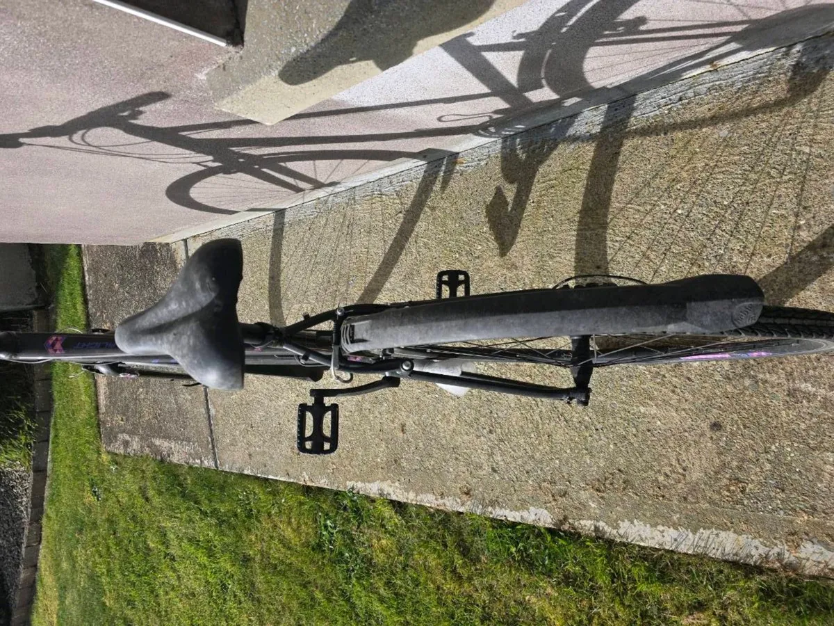 Ladies adult bicycle - Image 3