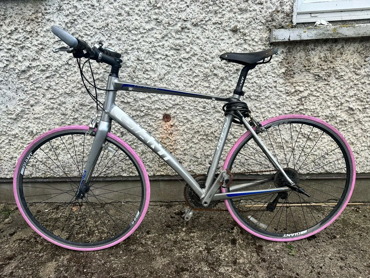 2 adult road bikes Trek & Giant - Image 2