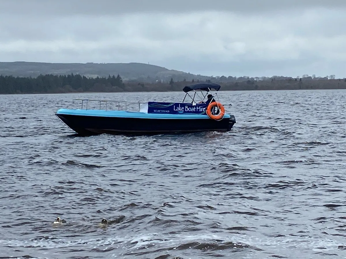 Great business opportunity - Image 2