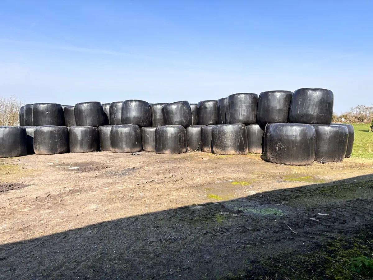 Hay and silage for sale - Image 2