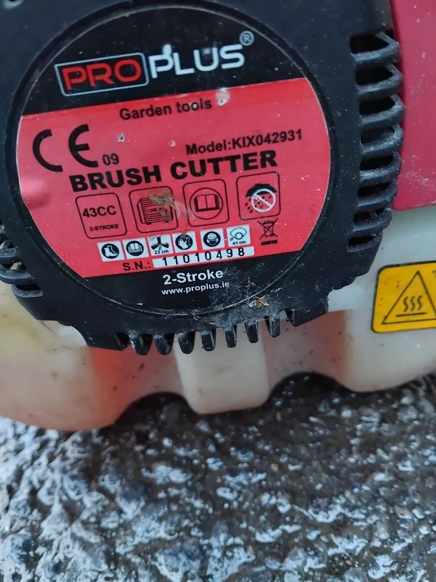 Grass strummers running 💯 priced - Image 2