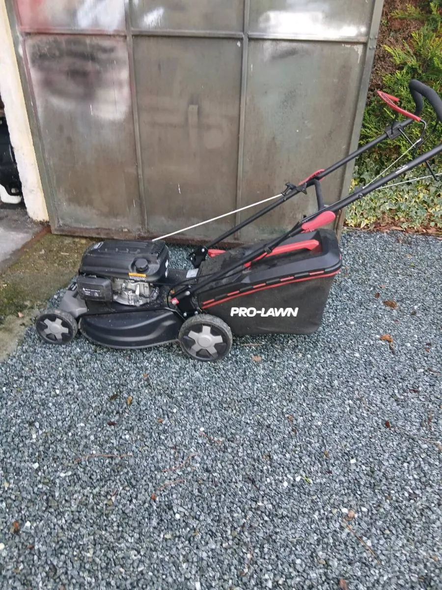 Self drive - Image 2