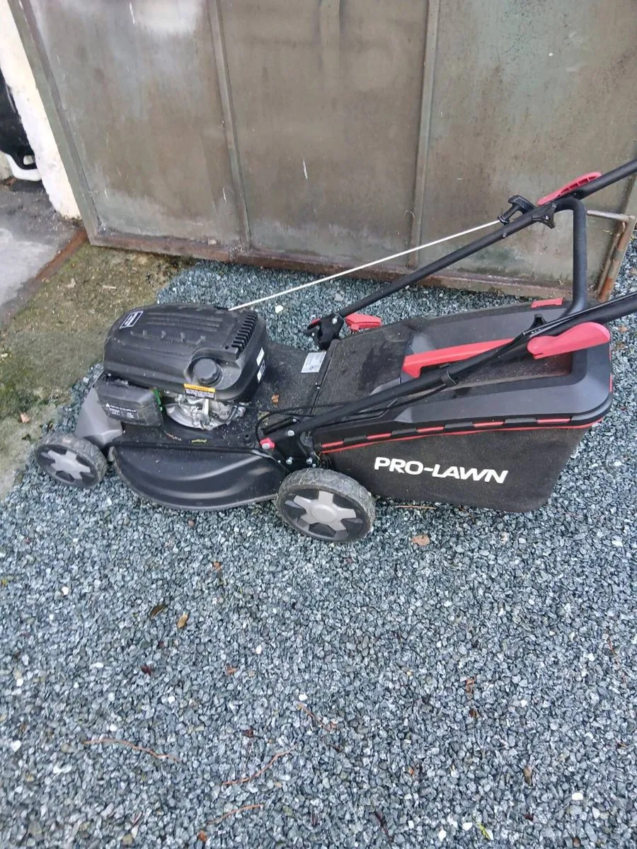 Self drive - Image 4