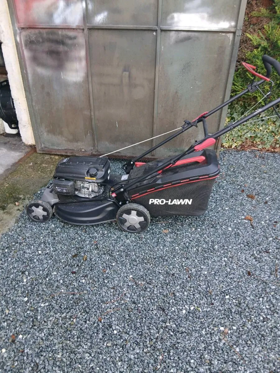 Self drive - Image 3