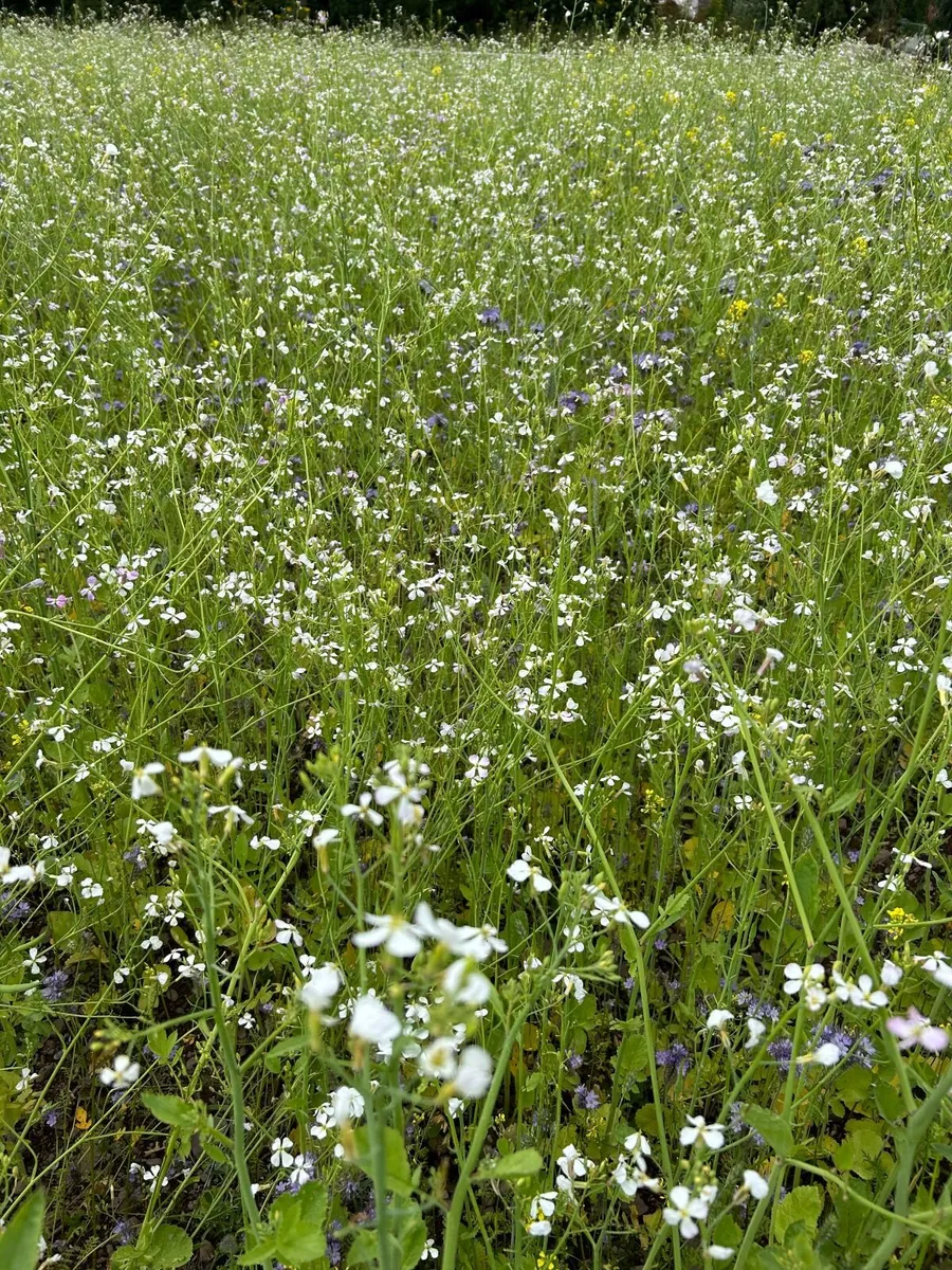 ACRES Winter Bird Food, Seed - Image 2