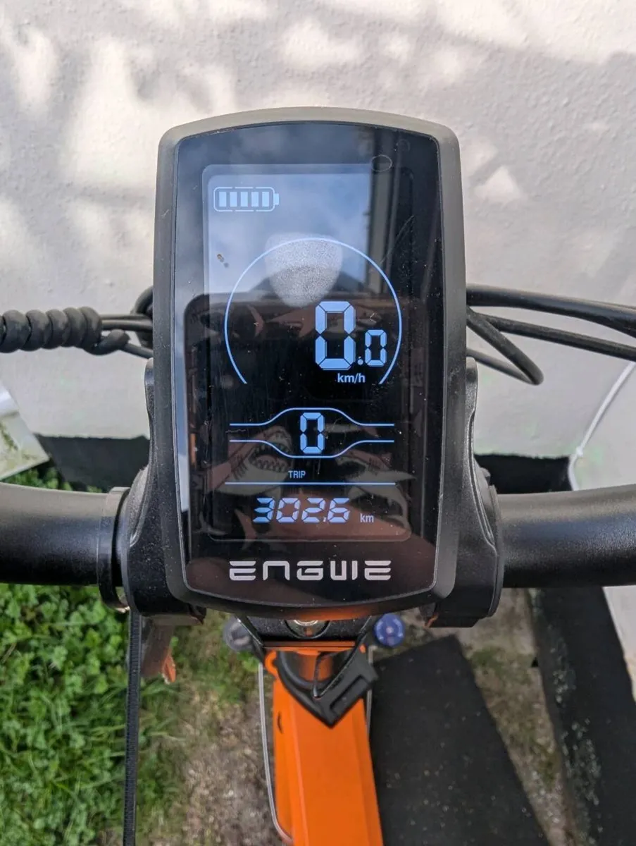 E bike - Image 2