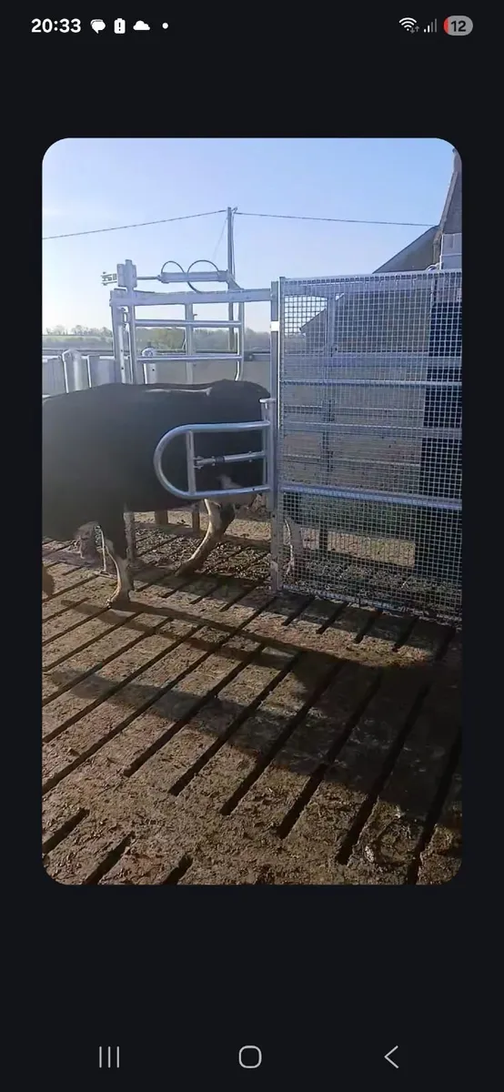 Alfco Drafting Gates - Image 3